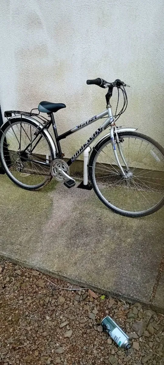 Adult bike - Image 1