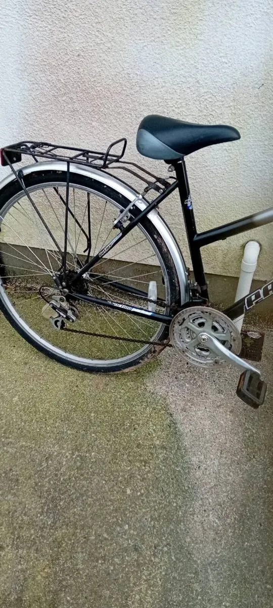 Adult bike - Image 2