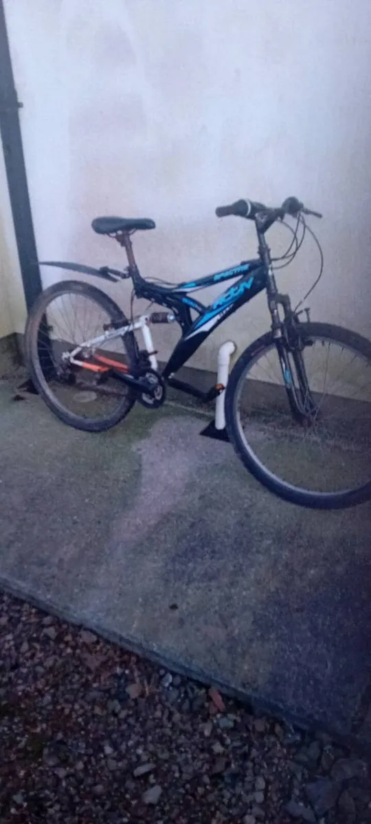 Adult bike - Image 1