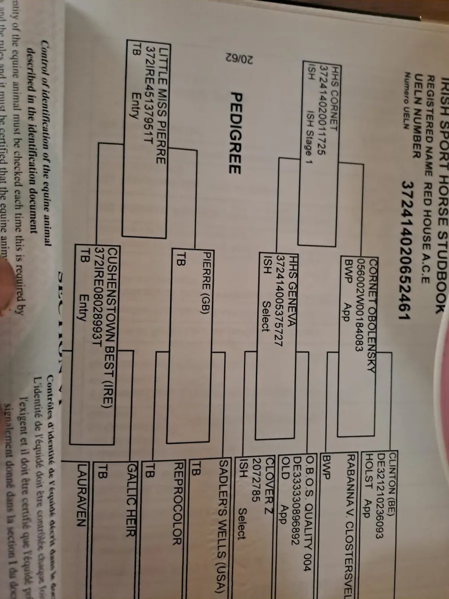🌟 Top Potential Eventer 🌟 - Image 4