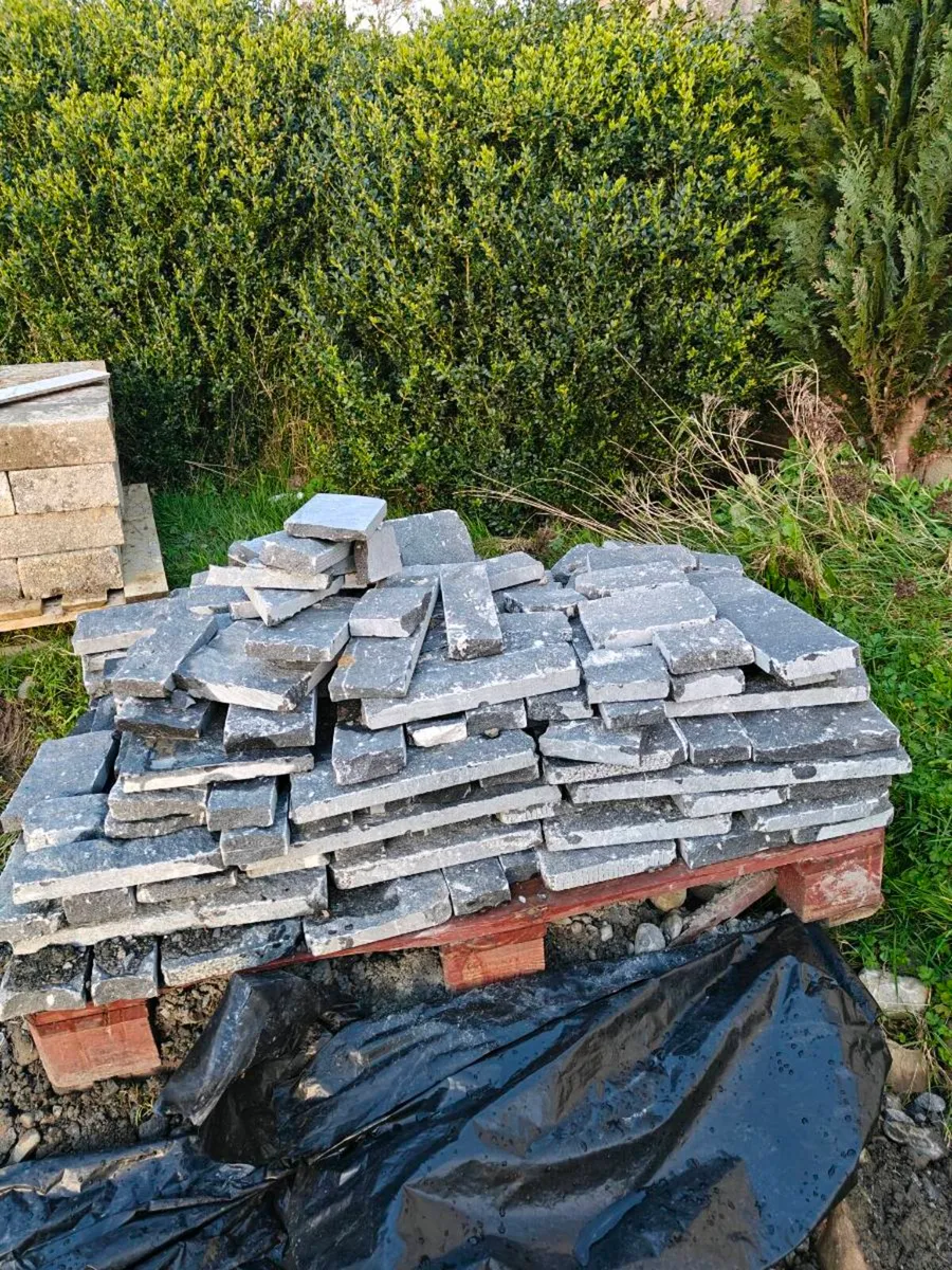 Kilkenny Limestone Cladding - Image 3