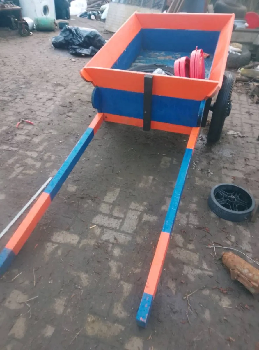 Donkey cart - Image 4