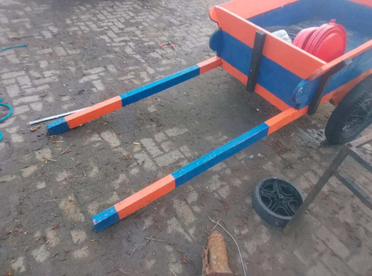 Donkey cart - Image 2