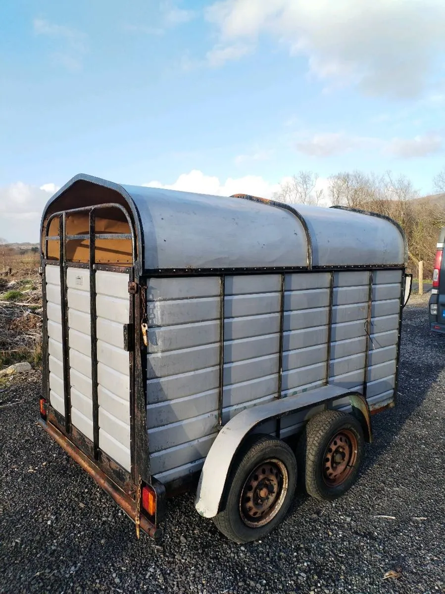 8x4 joyce trailer - Image 2