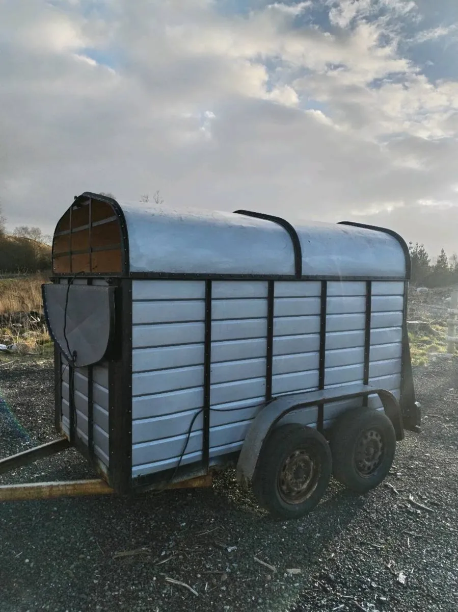 8x4 joyce trailer - Image 3