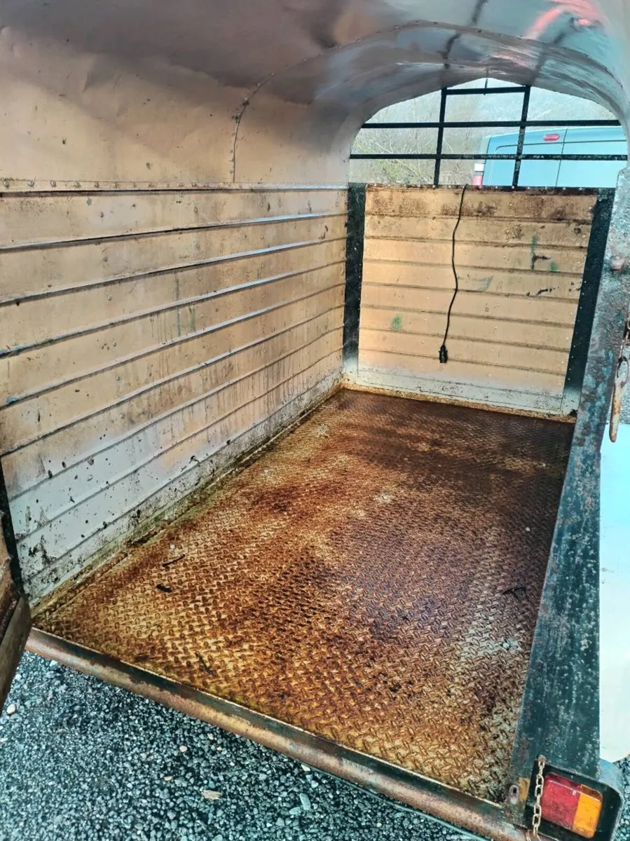 8x4 joyce trailer - Image 4