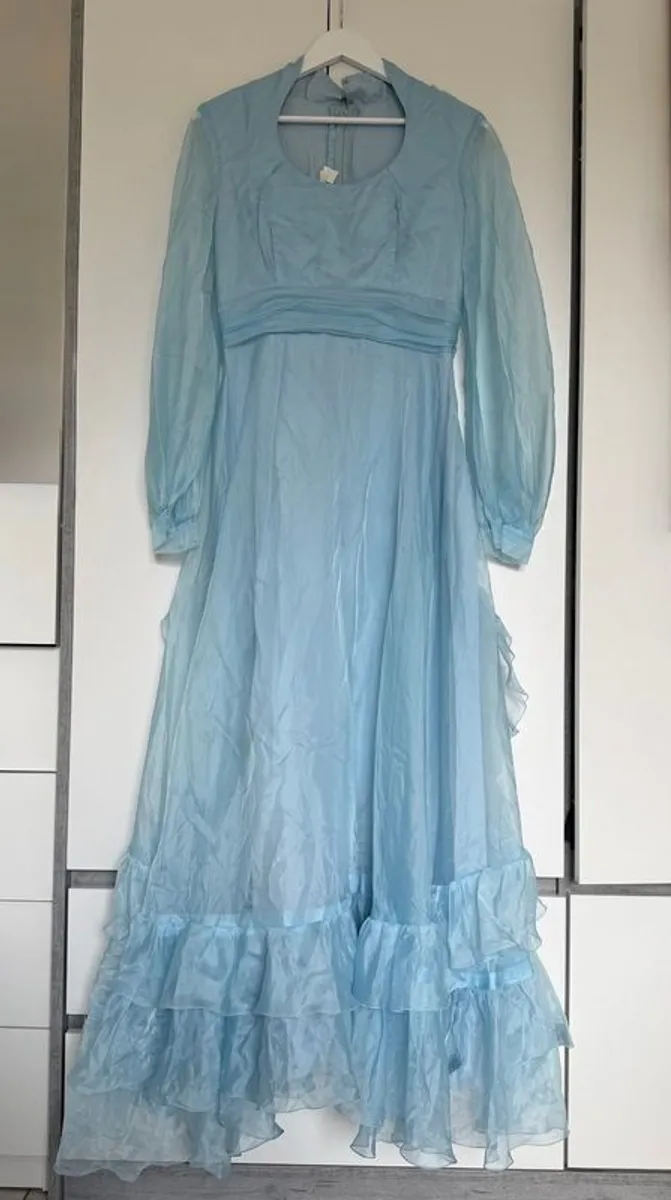 Theme/Costume dress Vintage - Image 1