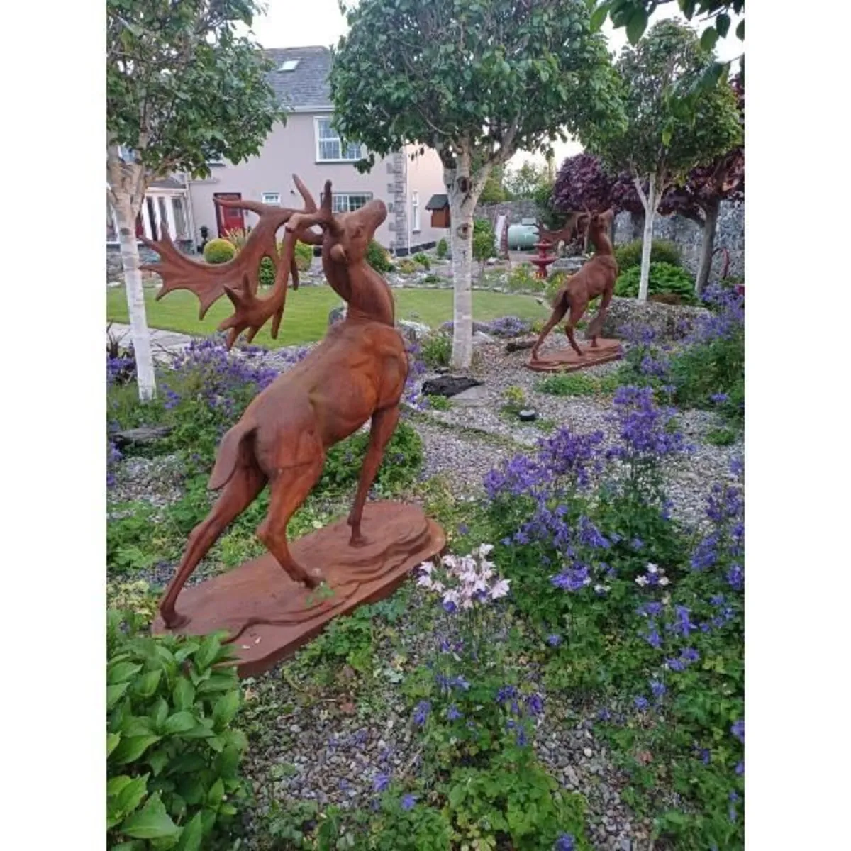 Rusty Stag – D8887 - Image 1