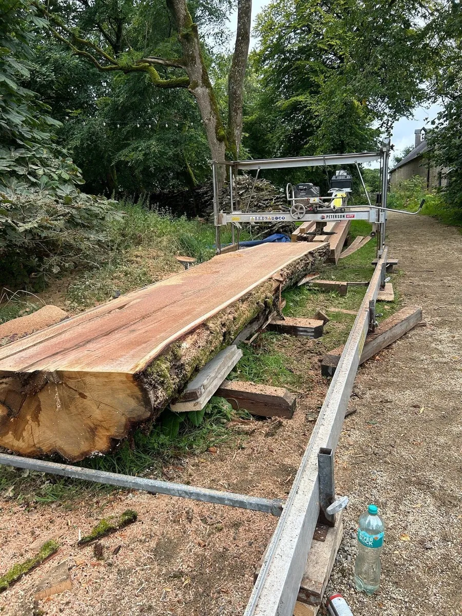 Saw milling service - Image 4
