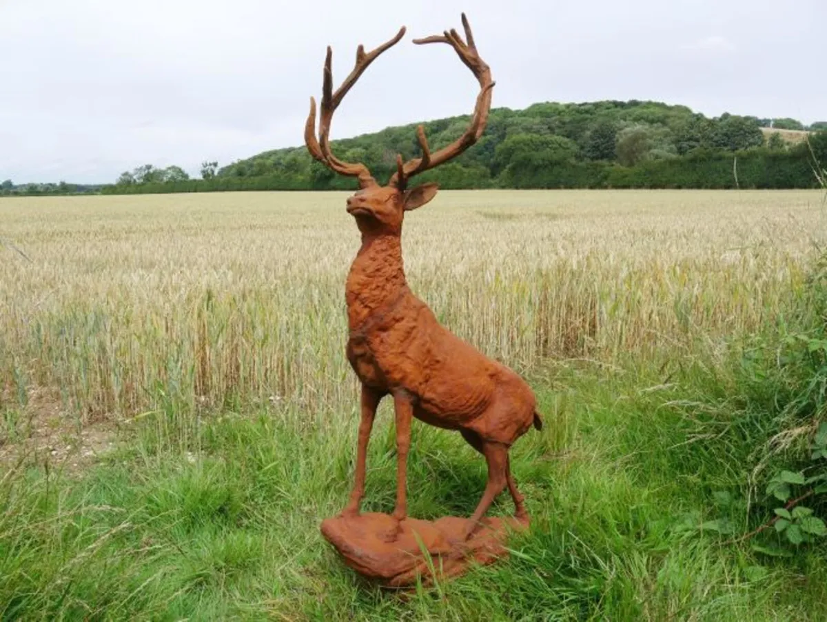 Rusty Stag Style 2 – D8889 - Image 2