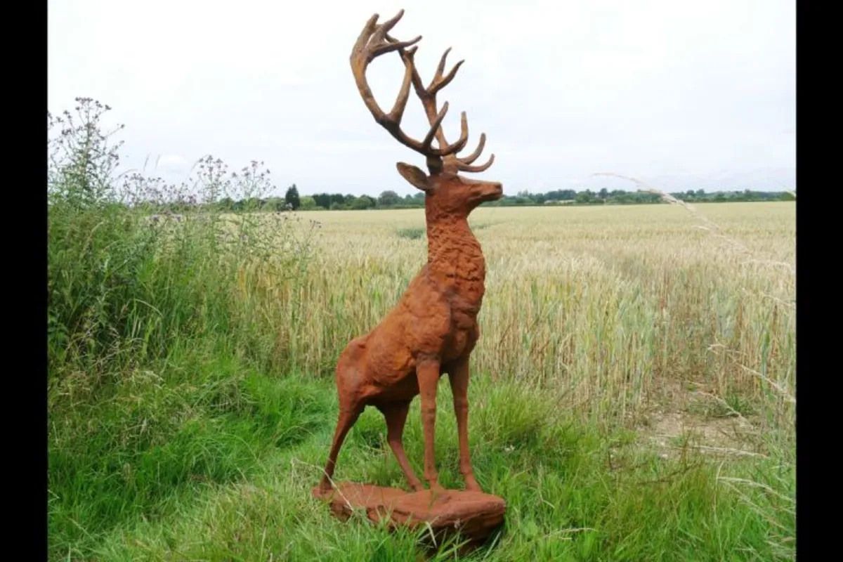 Rusty Stag Style 2 – D8889 - Image 3
