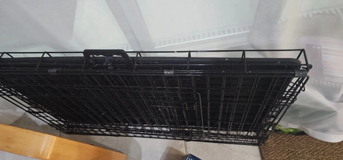 Dog bed / Crate / boundary collar - Image 2