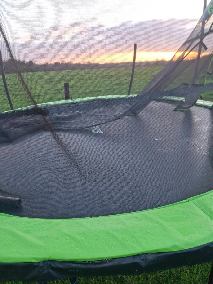 Trampoline - Image 2