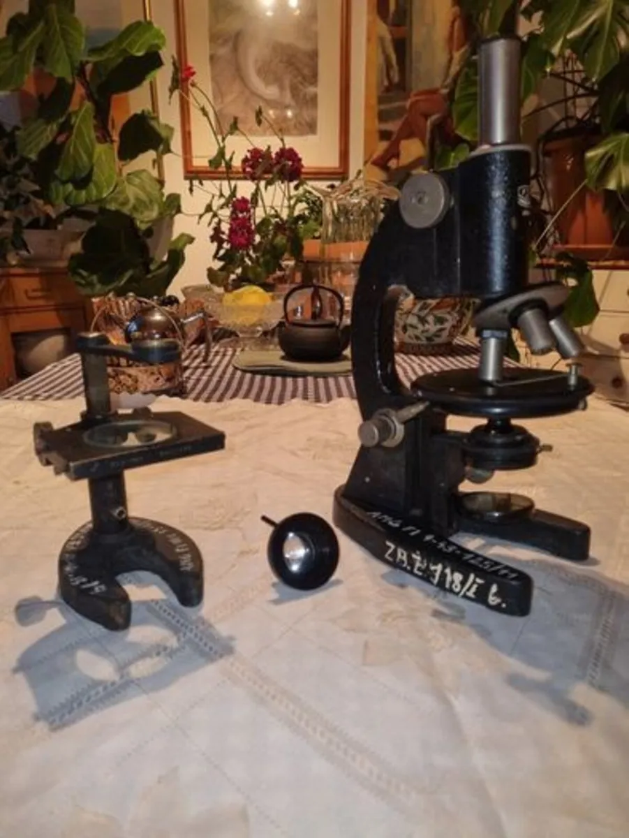 Vintage microscope - Medical Academy Gdansk - Image 1