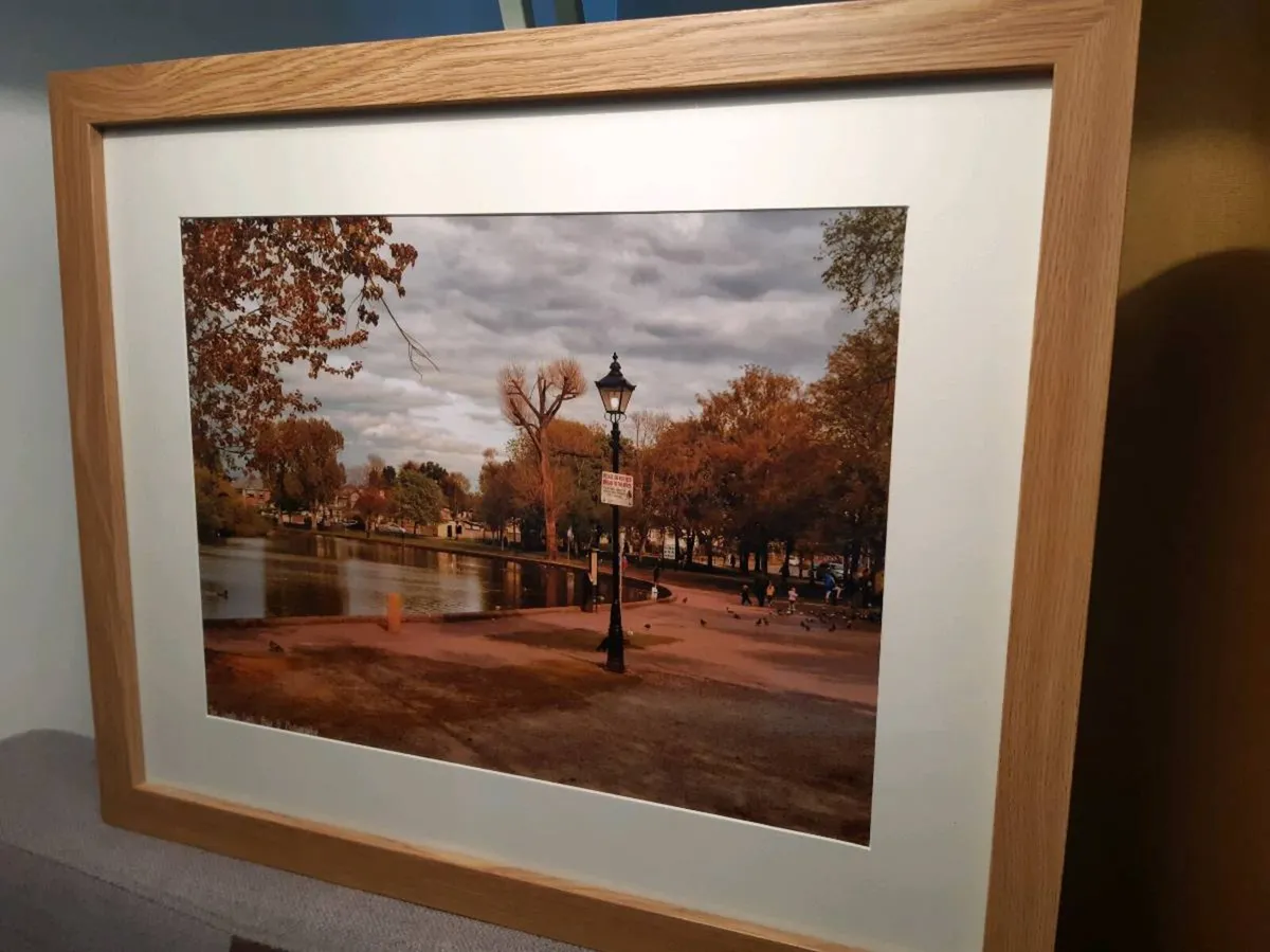 The Lough, Cork - Image 2