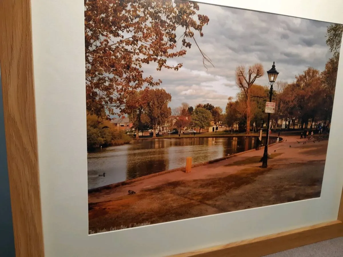 The Lough, Cork - Image 3