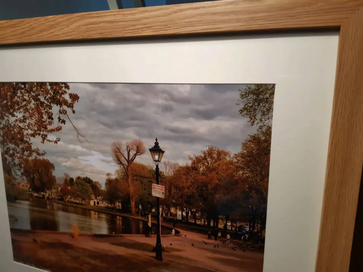 The Lough, Cork - Image 4