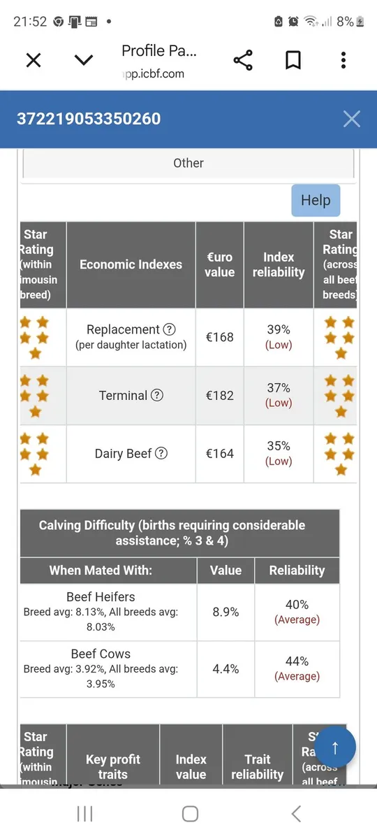 Pedigree limousine Bull - Image 4