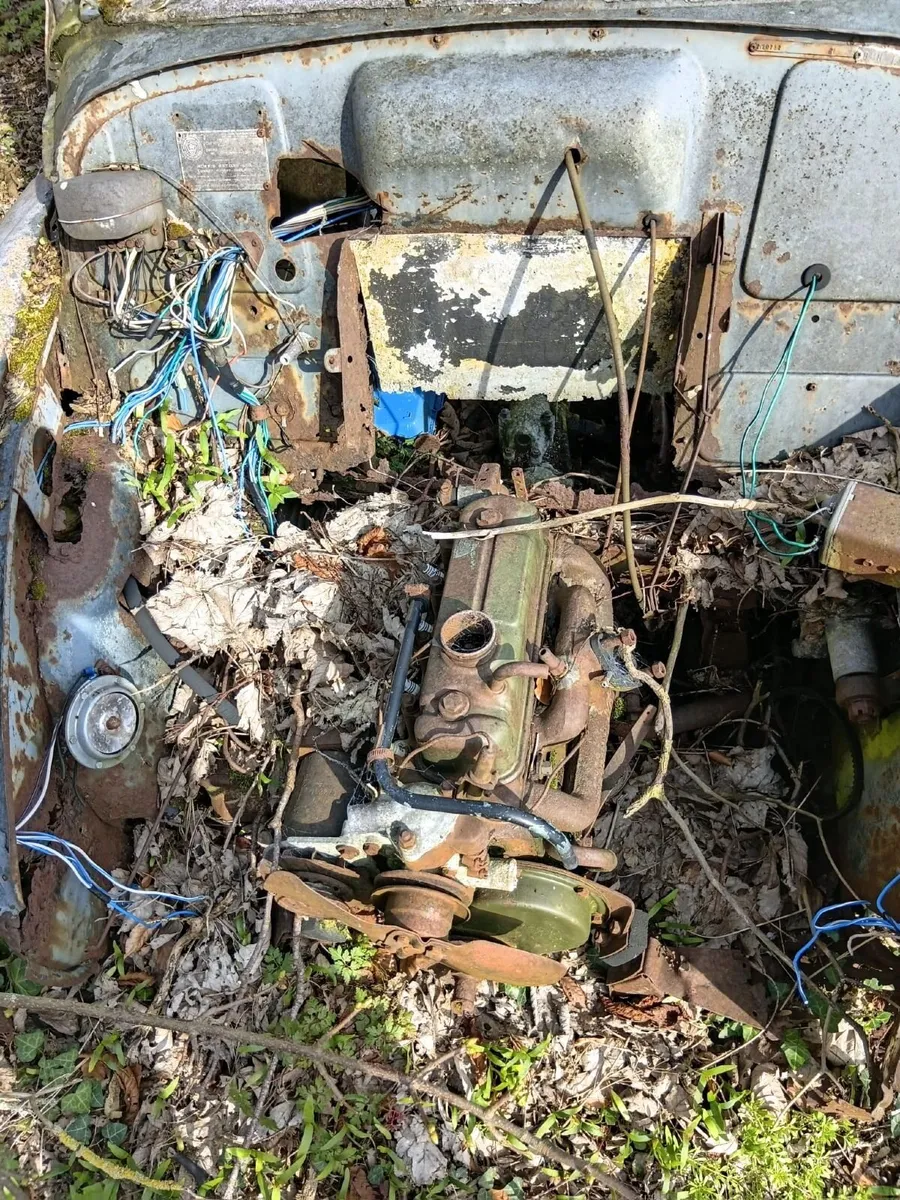 Moris Minor - Image 2