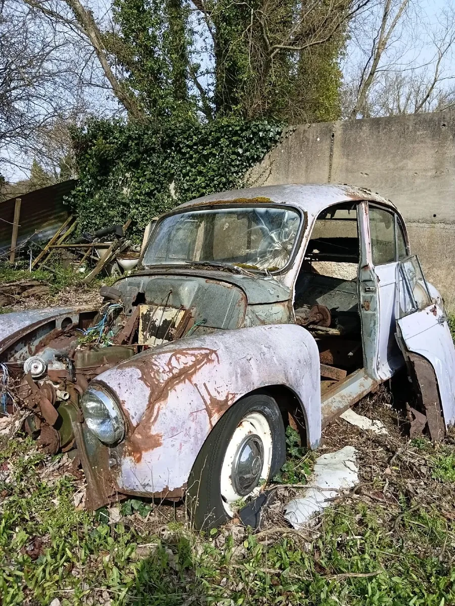 Moris Minor - Image 3