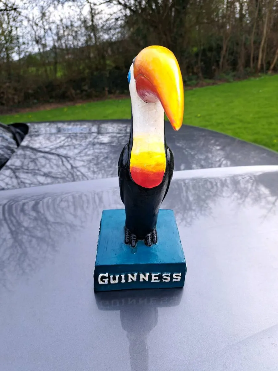 Guinness  16 inch toucan - Image 4