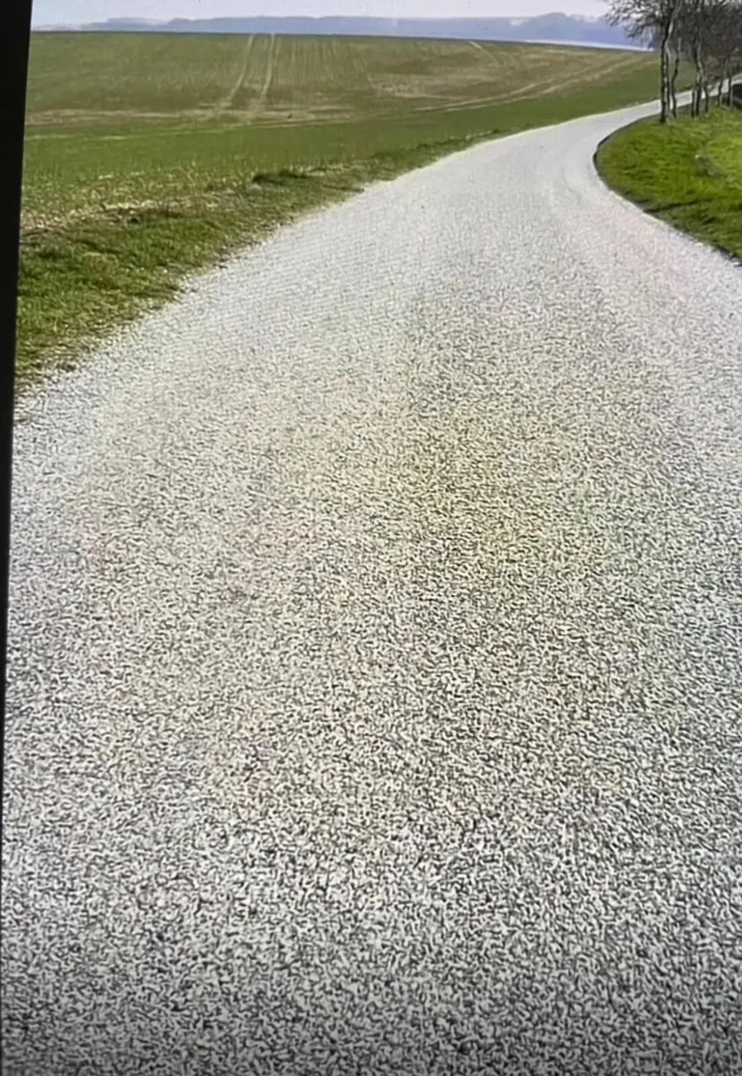 Tar and chip driveways - Image 4