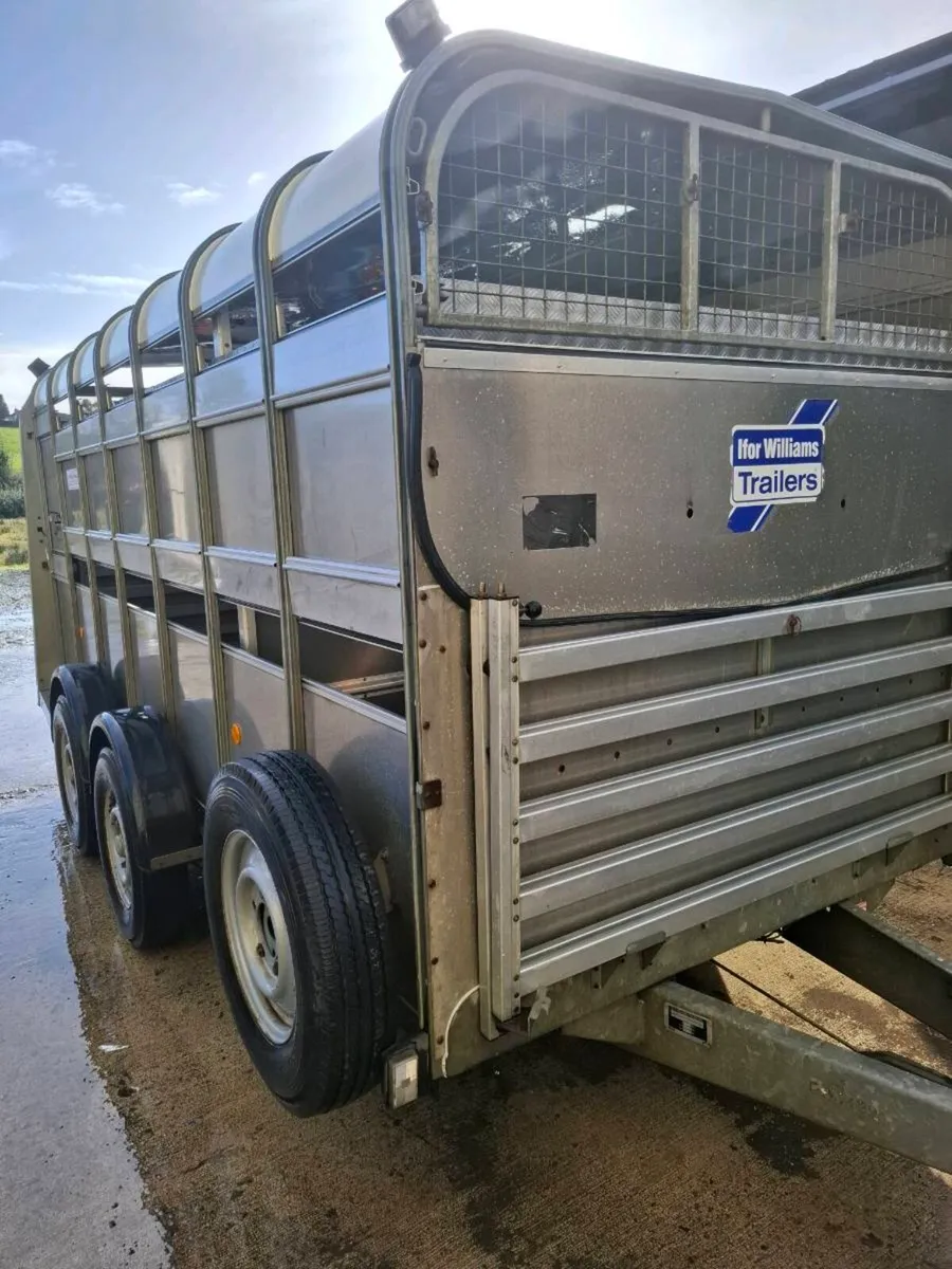 Sheep trailer fold up decks - Image 1