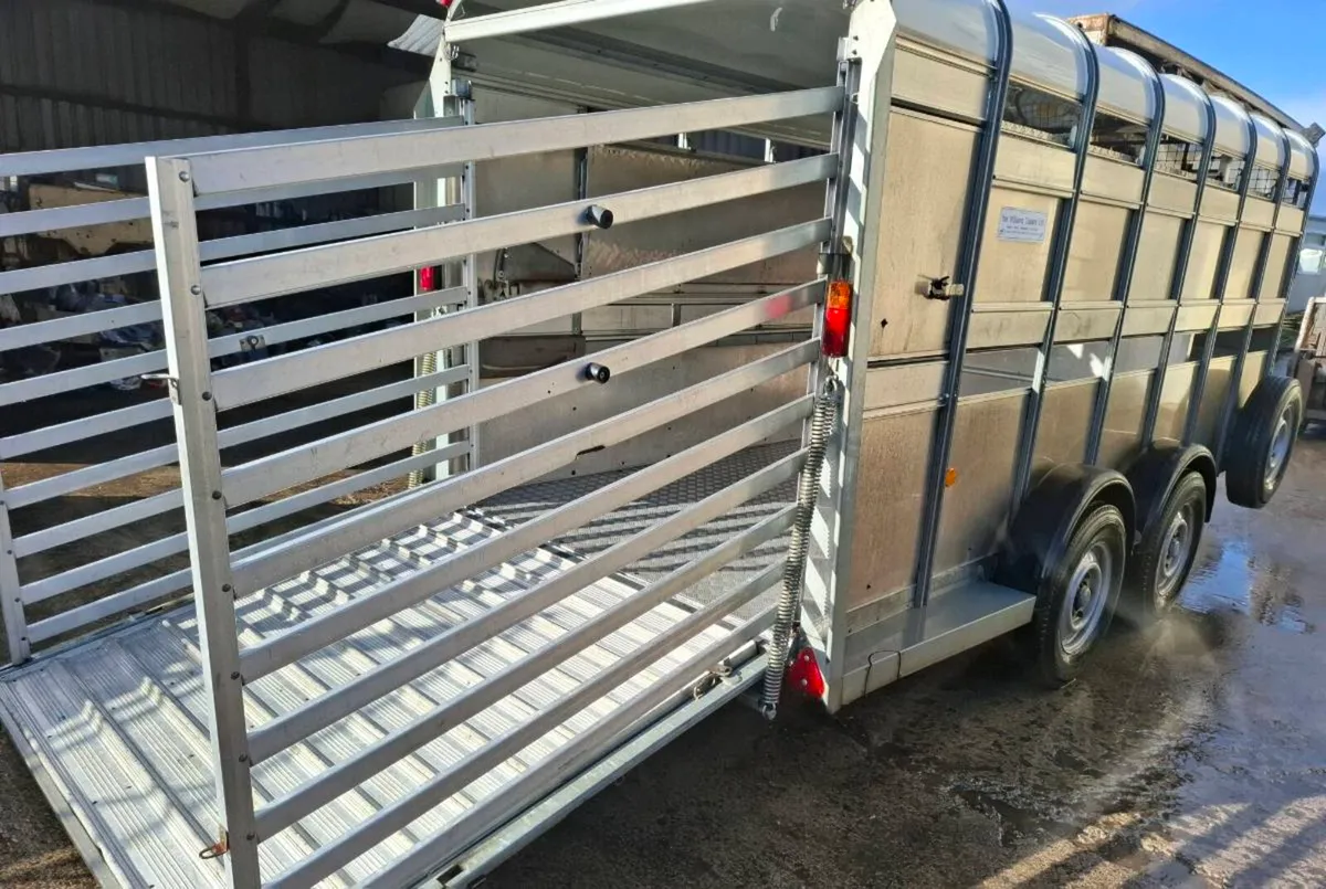 Sheep trailer fold up decks - Image 3