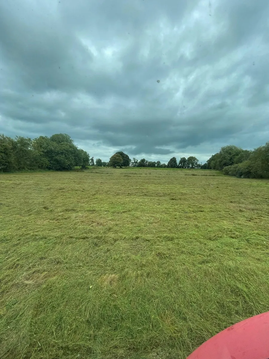 Mulching rushes, topping - Image 4