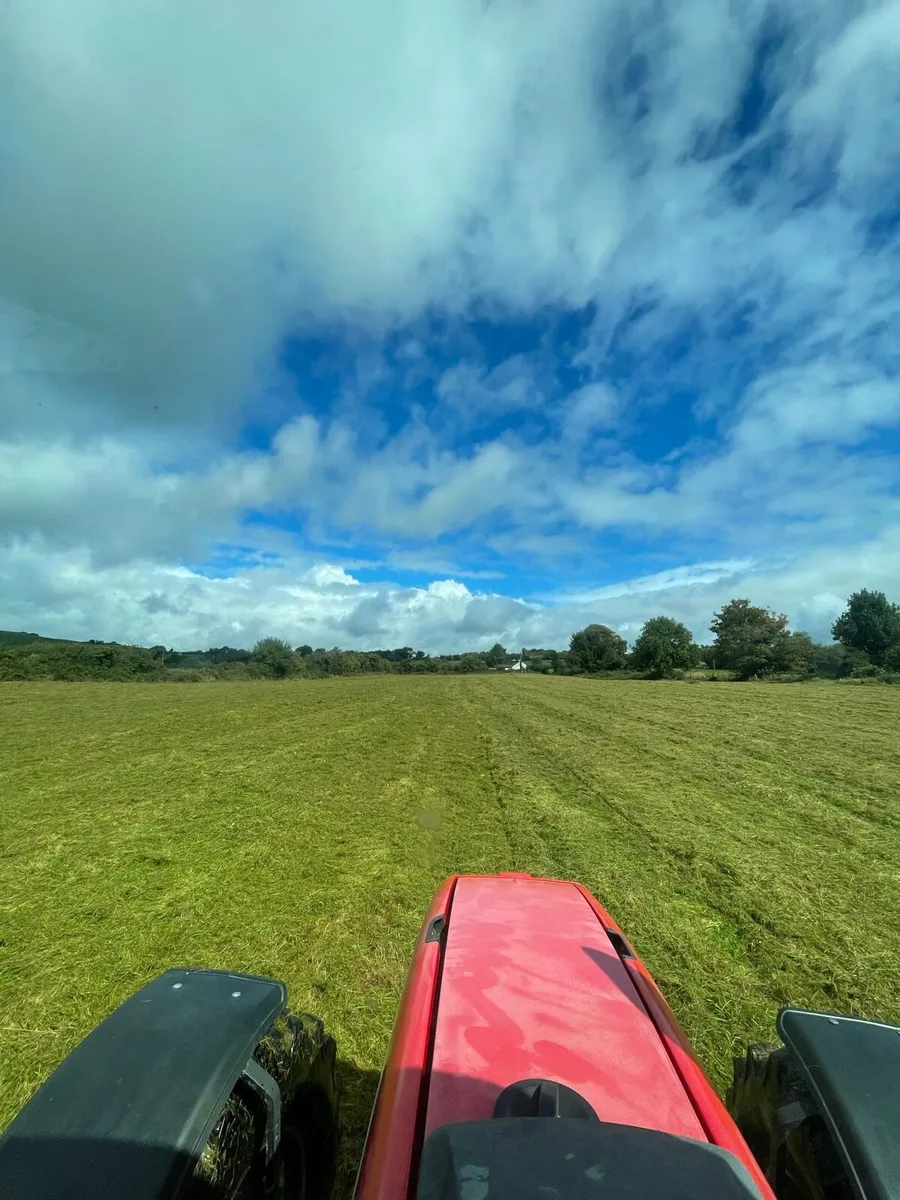 Mulching topping - Image 4