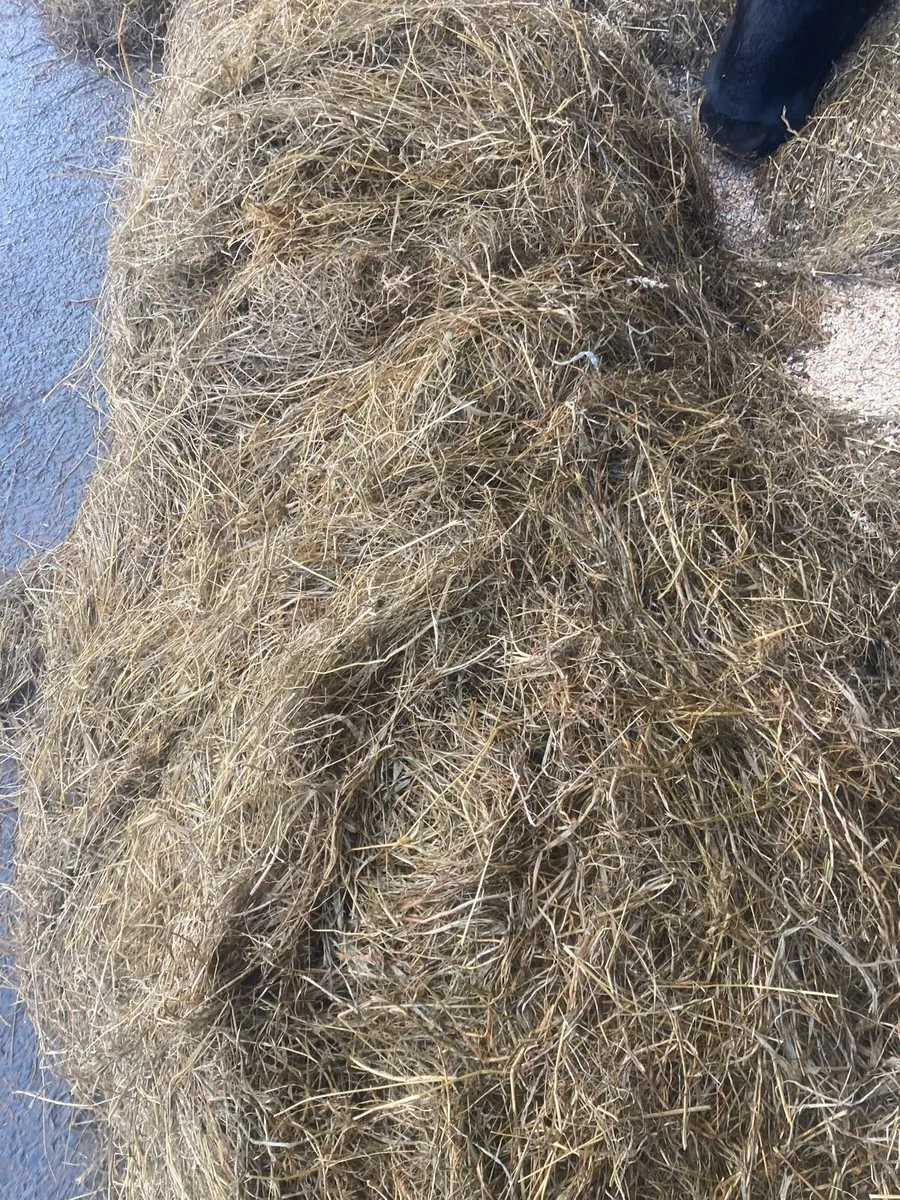 Round bale silage - Image 2