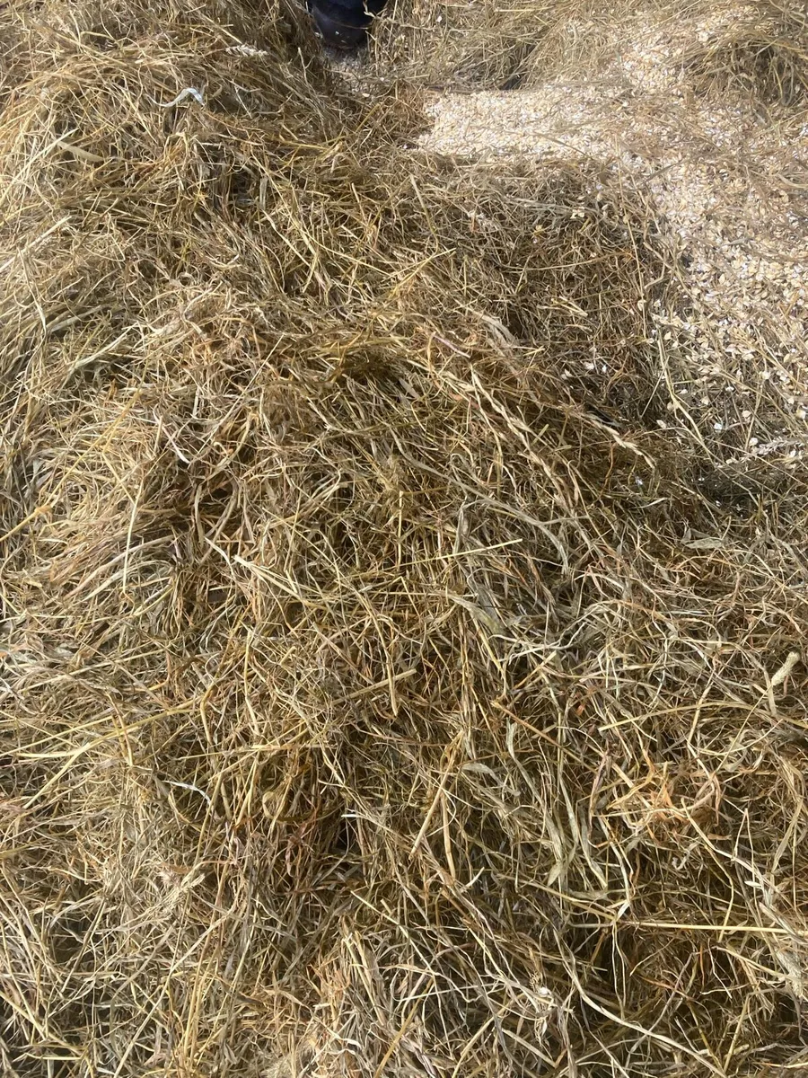 Round bale silage - Image 3