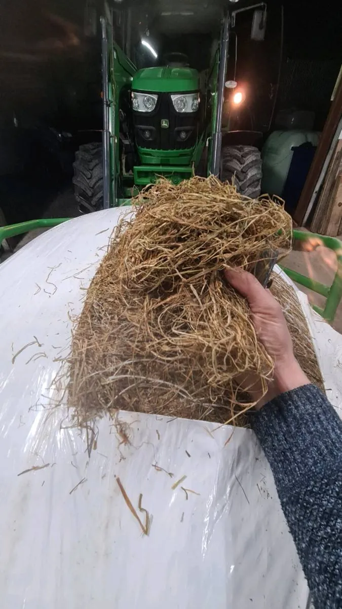 Silage ( Delivery available ) - Image 1