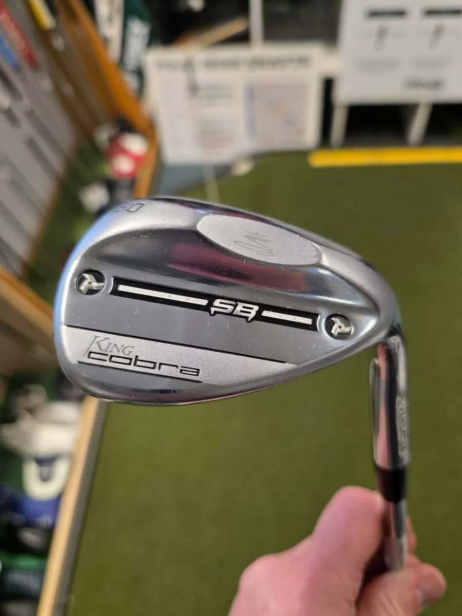 Cobra Snakebite - Image 1