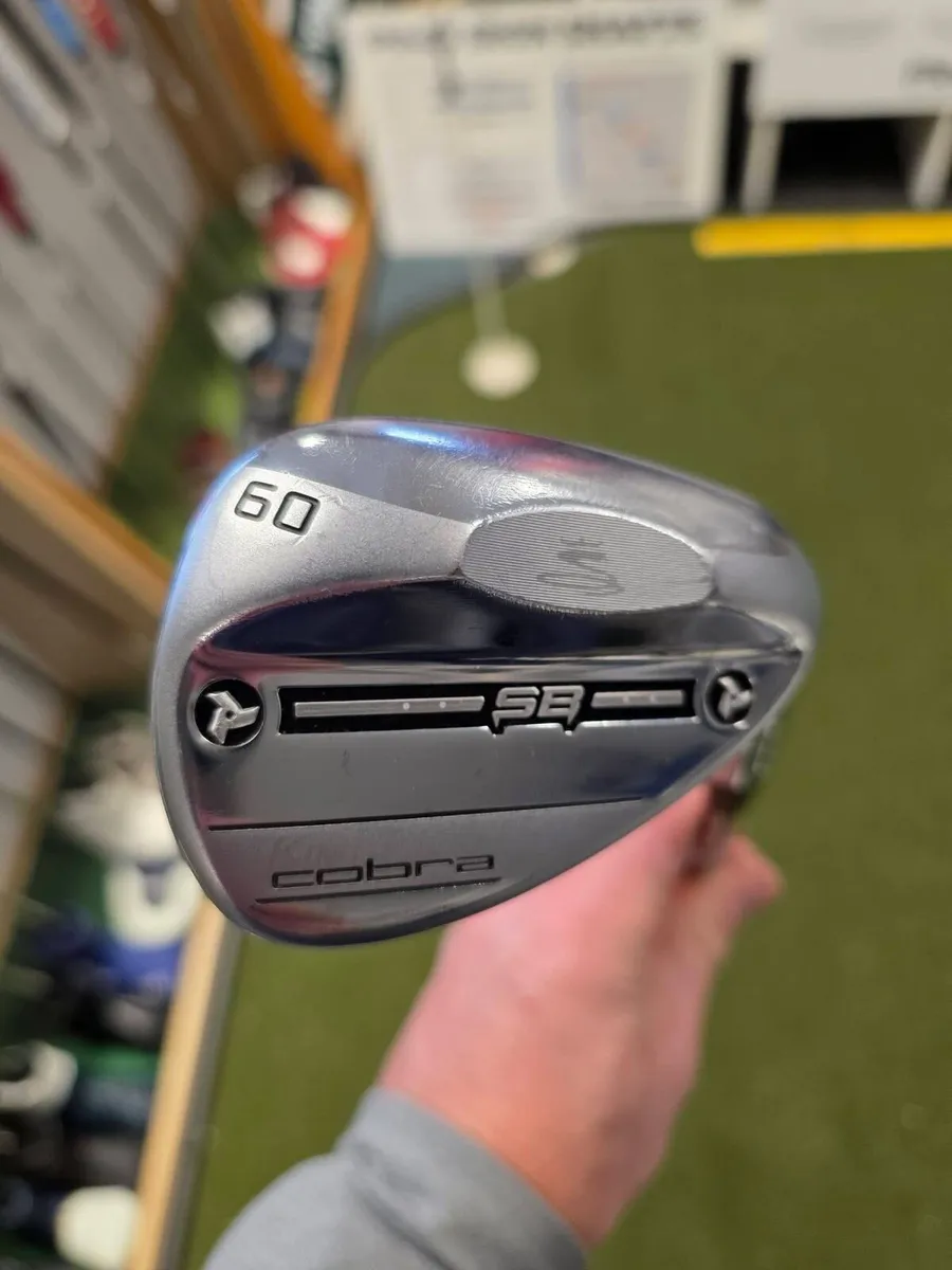 Cobra Snakebite - Image 2