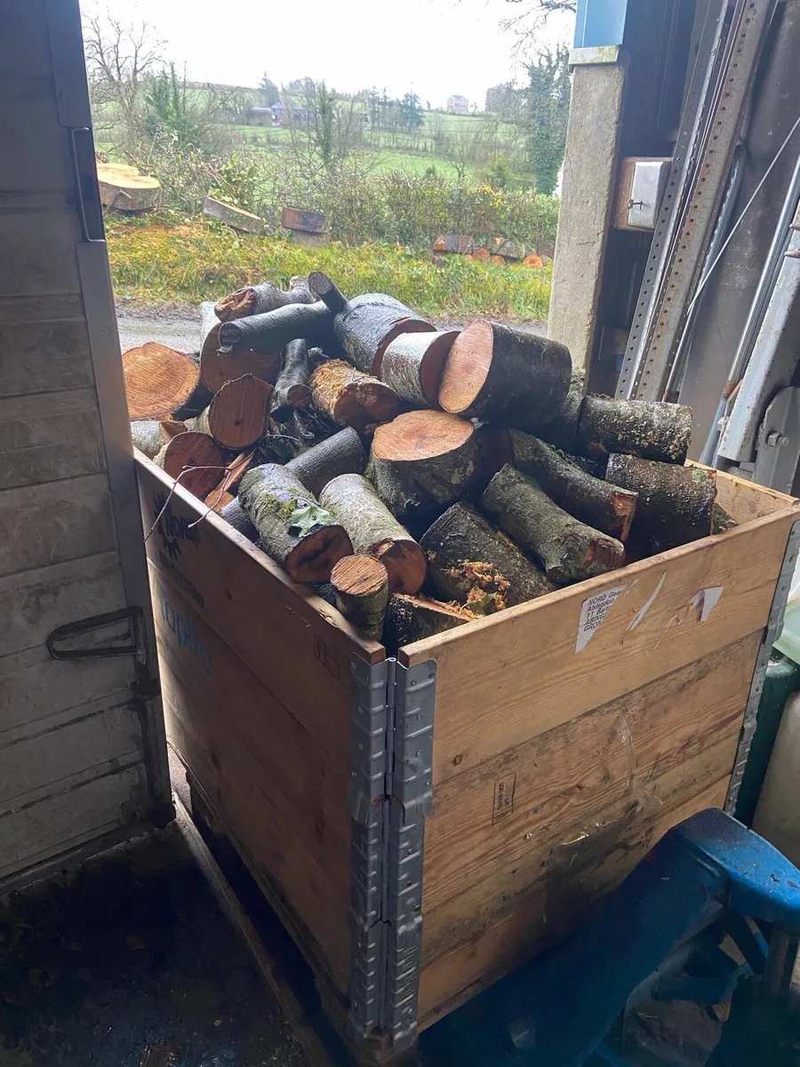 🔥 Premium Beech Firewood – Ready to Burn 🔥 - Image 1