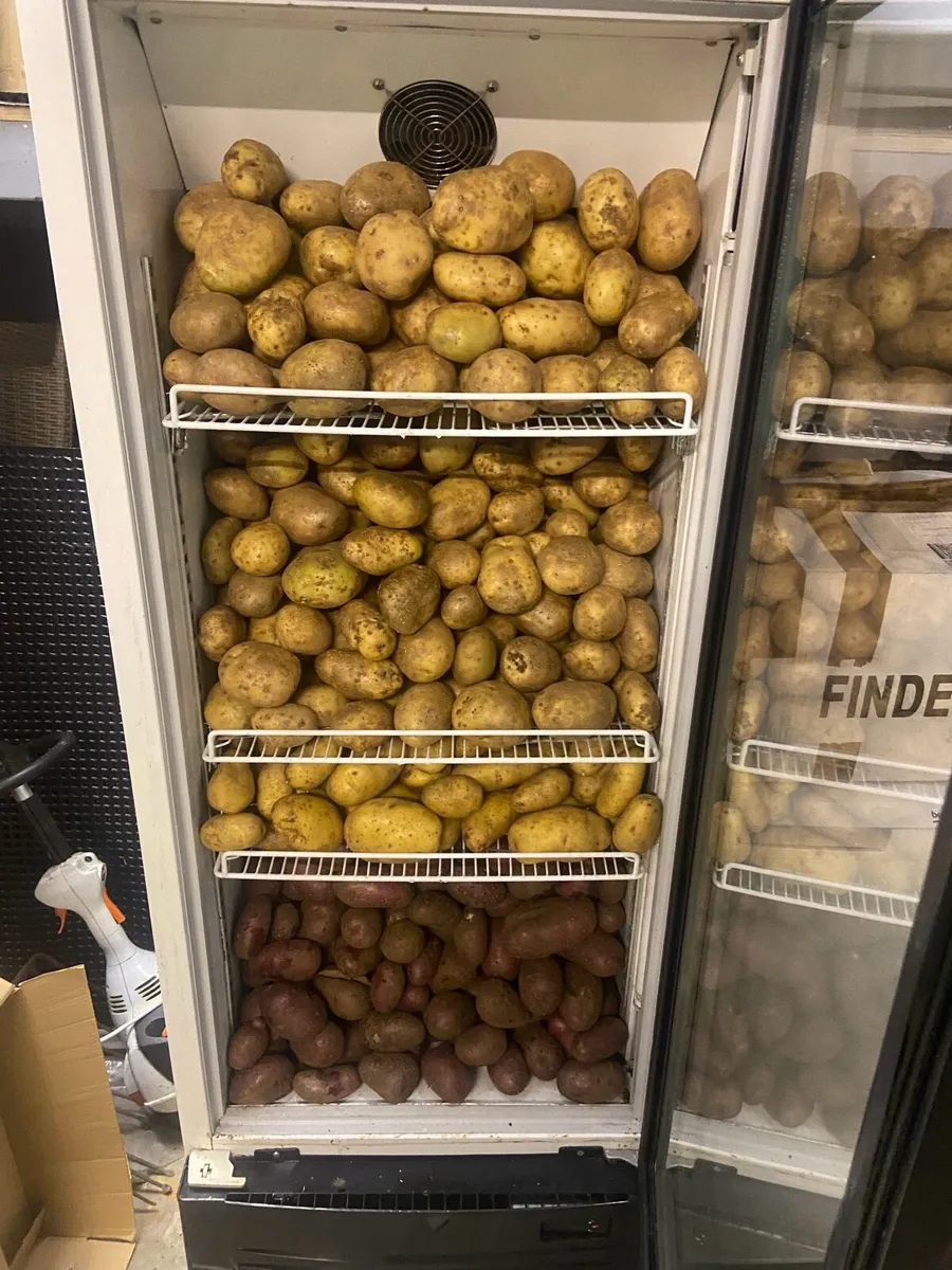 Fresh Homegrown Potatoes