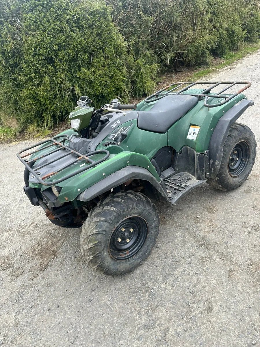 2019 Yamaha Kodiak 450 - Image 1