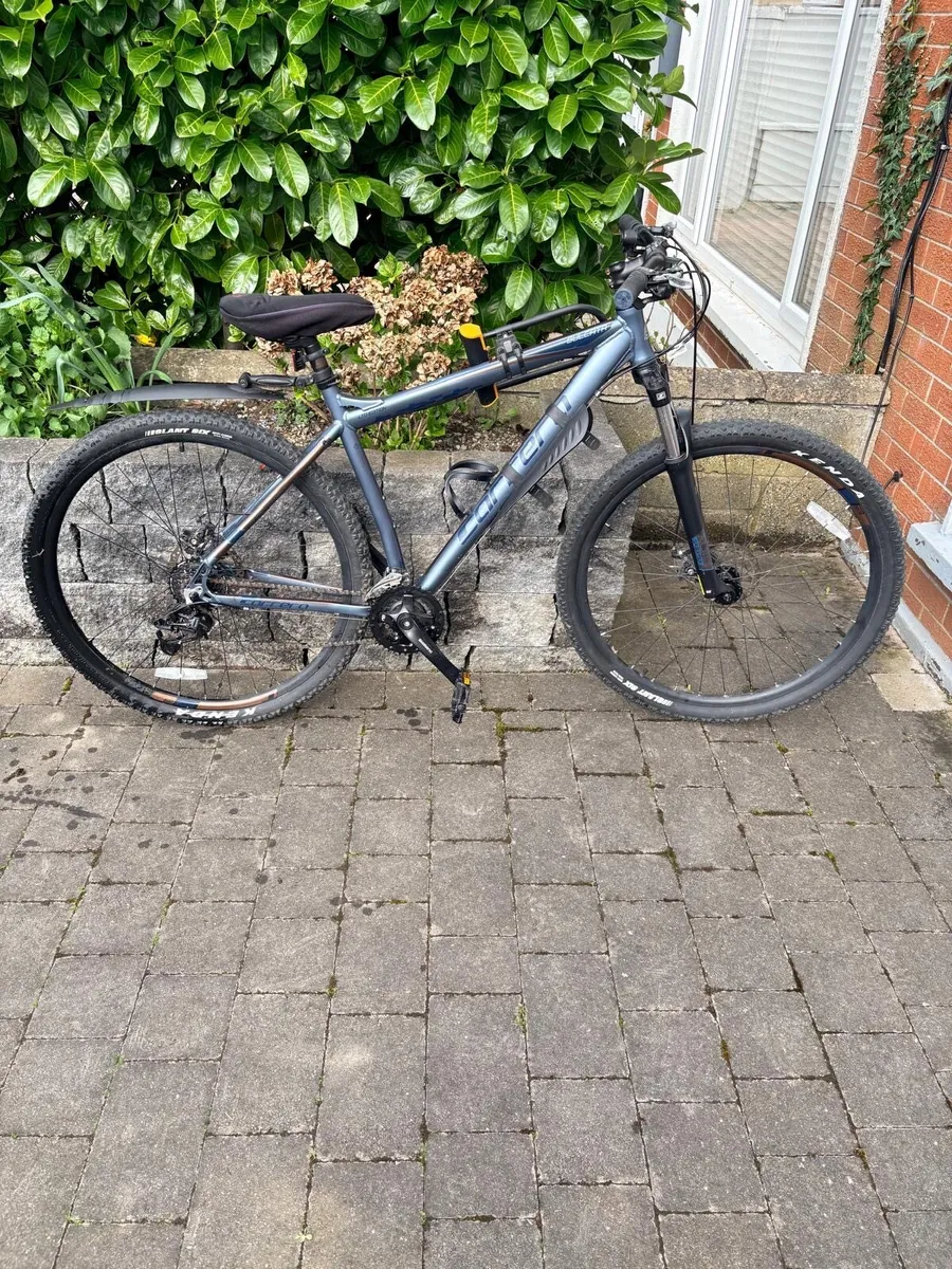 Carrera Sulcata limited edition - Image 2