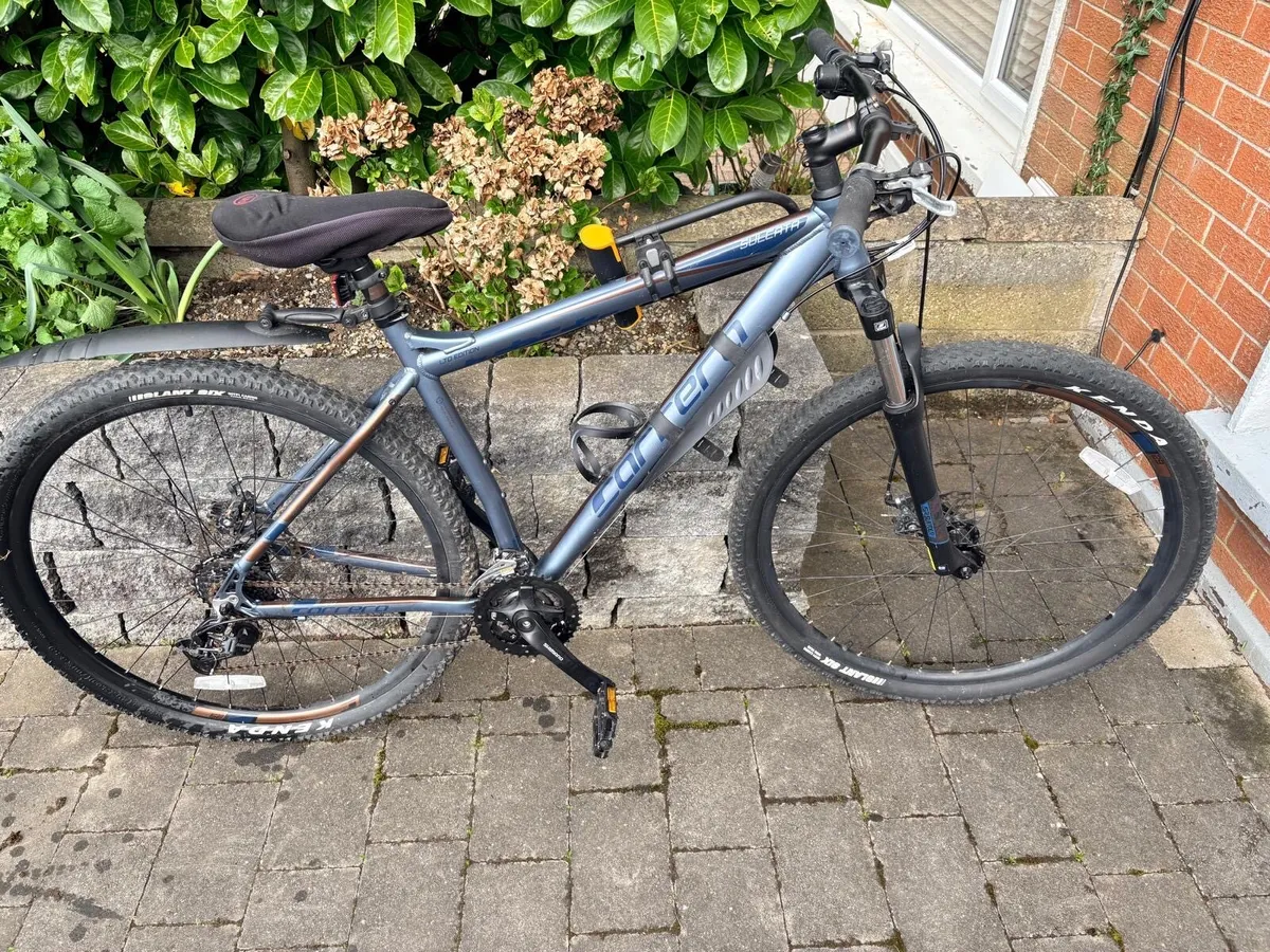 Carrera Sulcata limited edition - Image 3