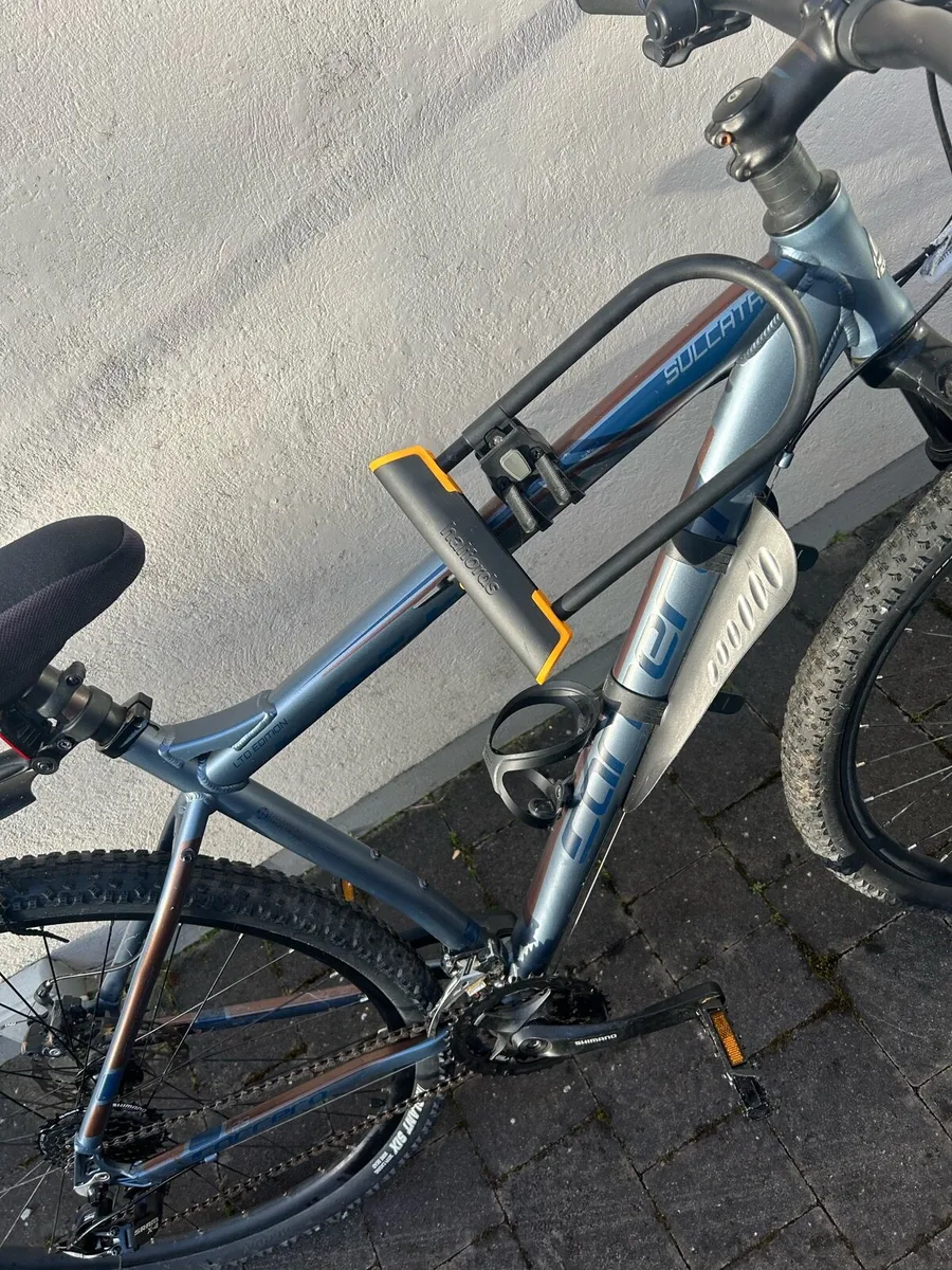 Carrera Sulcata limited edition - Image 4