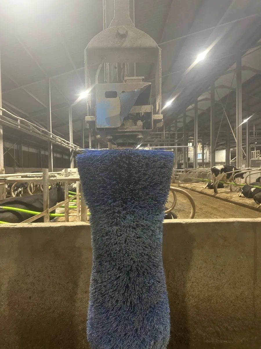 Cow brush’s - Image 1