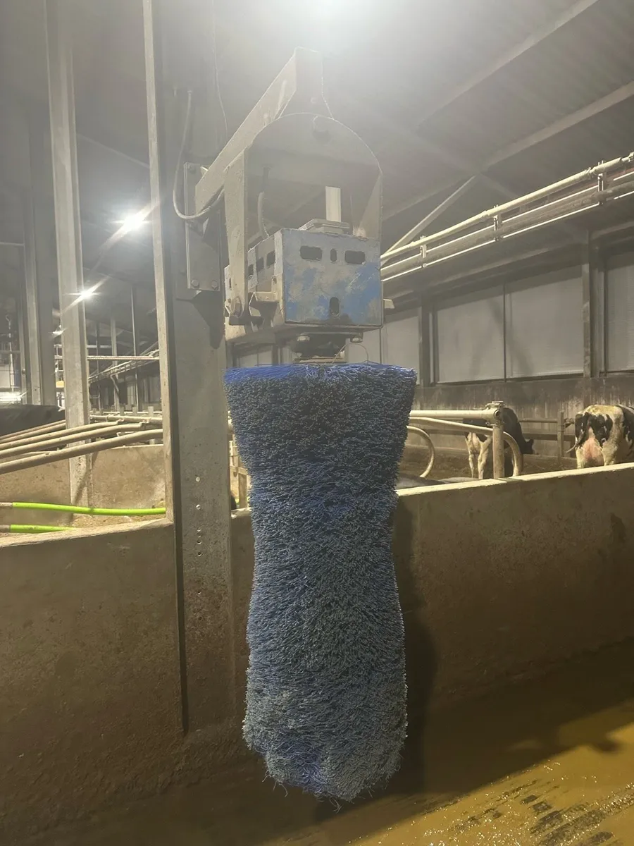 Cow brush’s - Image 3