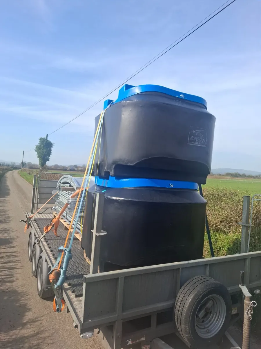 Stockmaster For 365 Sheep Care - Image 3