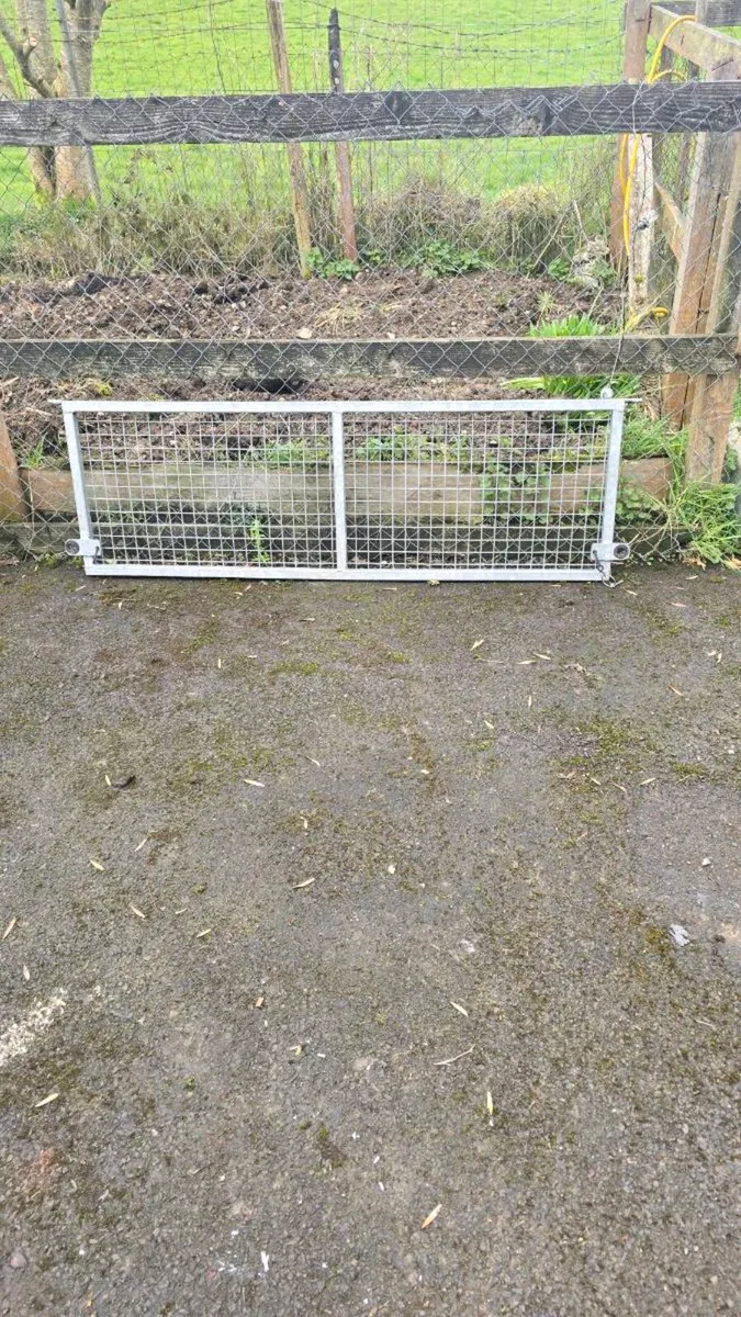 Nugent elec Tipper - Image 3