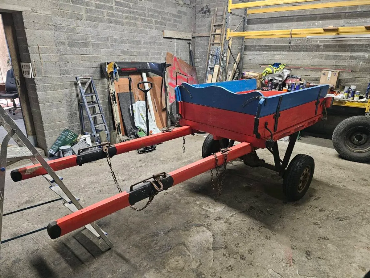 Donkey Cart - Image 2