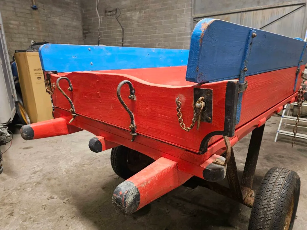 Donkey Cart - Image 3