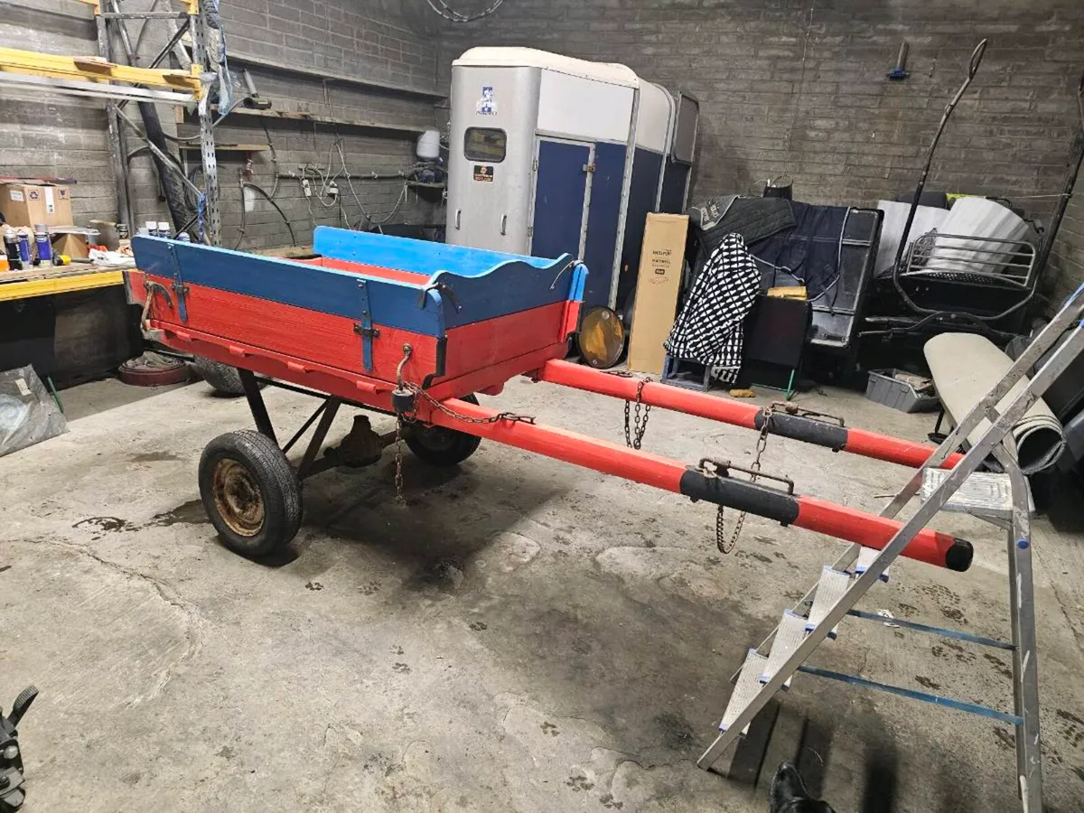 Donkey Cart - Image 1