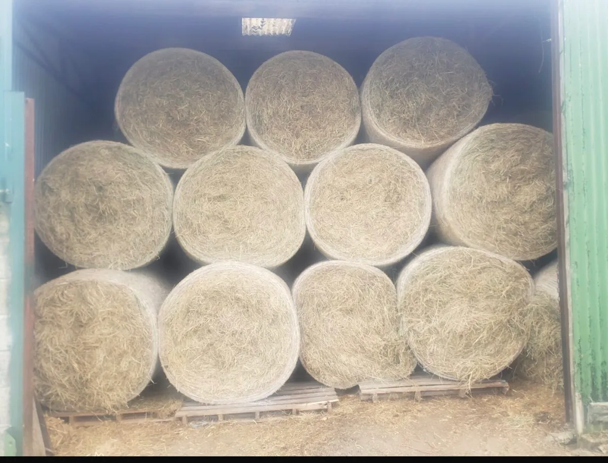 Round bales of hay for sale