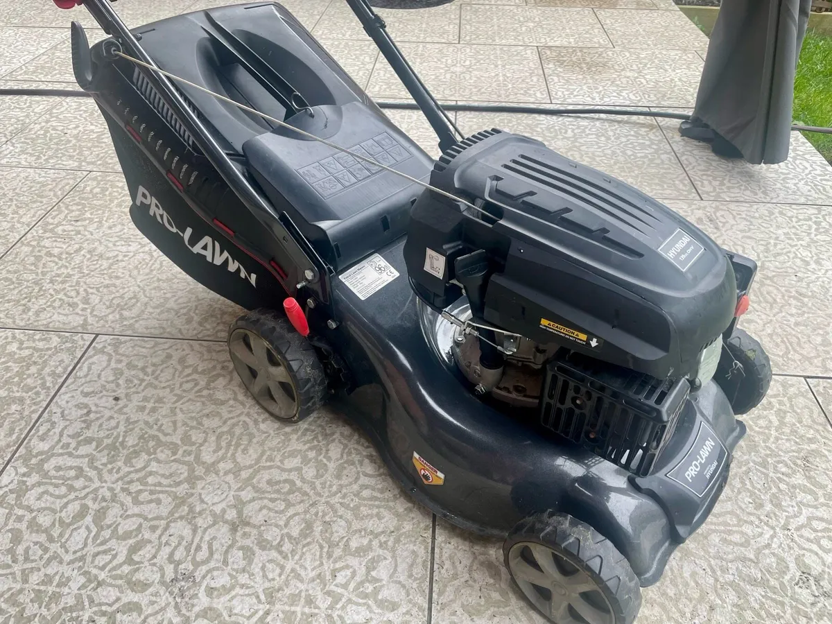 Lawnmower Petrol - Image 1